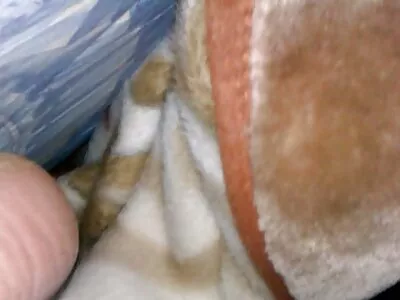 लॉरेन फिलिप्स, सेठ जुगार माझ्या मित्राच्या हॉट मॉममध्ये
