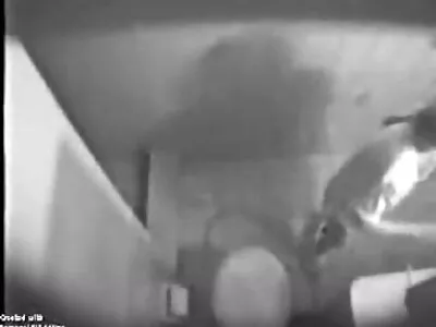 ड्रायव्हर्स एड Suxxx व्हिडिओ (सेलेस्टे स्टार, स्टार, मेसन स्टॉर्म, हीदर पिंक, रिले चेस, केली मेसन, रिले स्टार, काइली हेज)